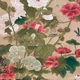 狩野伊川院栄信 草虫図 25