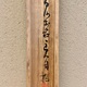 橋本関雪 江南春色図 14