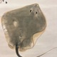 竹内栖鳳 浮沈追逐巧相親 6