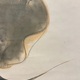 竹内栖鳳 浮沈追逐巧相親 9