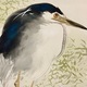 竹内栖鳳 柳鷺 9
