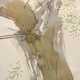 竹内栖鳳 柳鷺 10