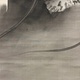 木島桜谷 龍虎図 19