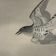 横山大観 月・杜鵑 8