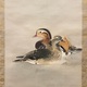西村五雲 松下鴛鴦 6