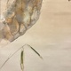 西村五雲 松下鴛鴦 9