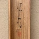 鏑木清方 水仙 15