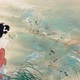 森安石象 春夏秋冬　四幅対 27