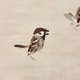 竹内栖鳳 野雀 9