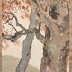 木島桜谷 霜渡 4