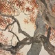 木島桜谷 霜渡 8