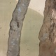 木島桜谷 霜渡 11