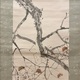 木島桜谷 鳶 6