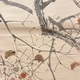 木島桜谷 鳶 11