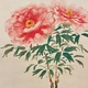 村上華岳 牡丹ニ蜂ノ図 8