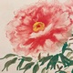 村上華岳 牡丹ニ蜂ノ図 9