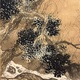 竹内栖鳳 霜林秋水 10